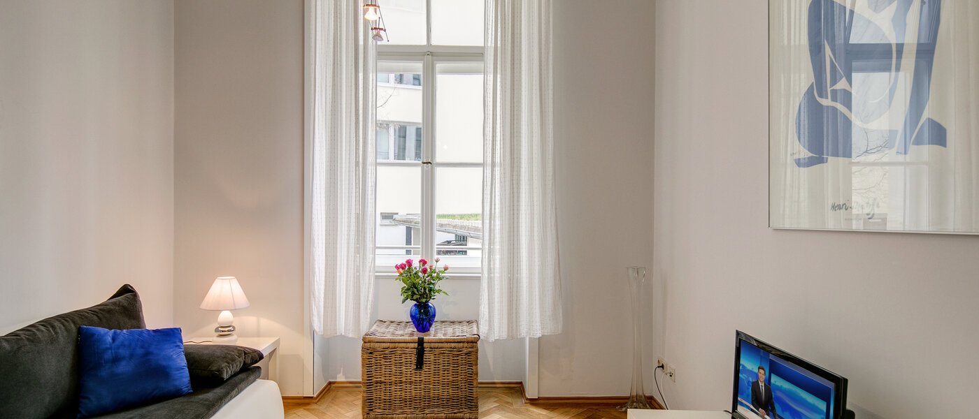 apartment München Lehel 02 living room 5073