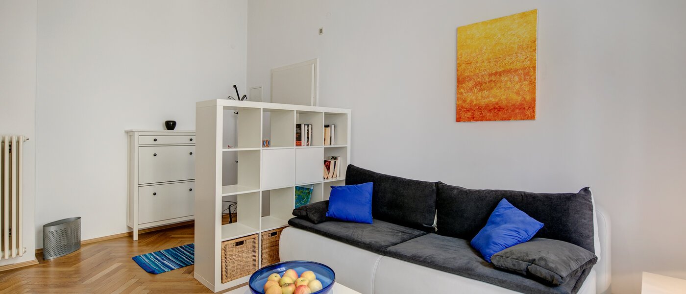 apartment München Lehel 05 living room 5073