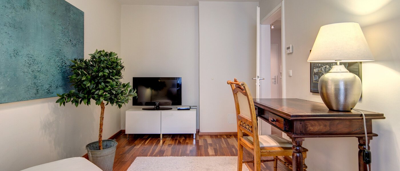 apartment München Isarvorstadt 03 living room 5087