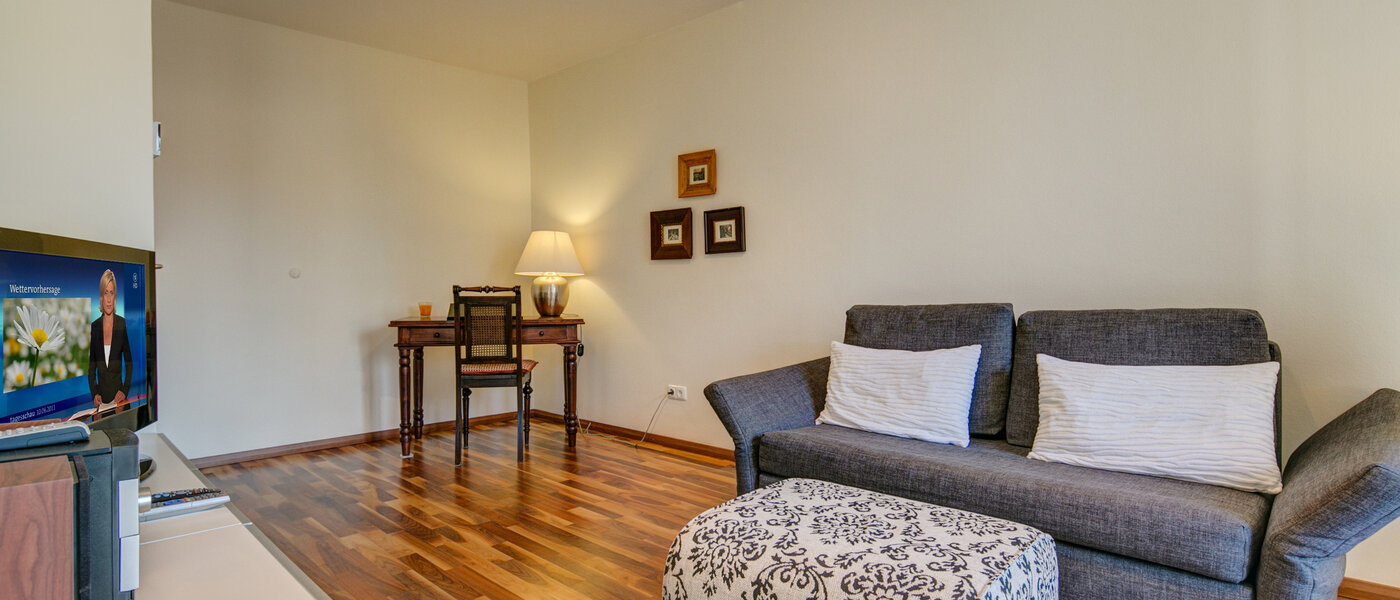 apartment München Isarvorstadt 05 living room 5105