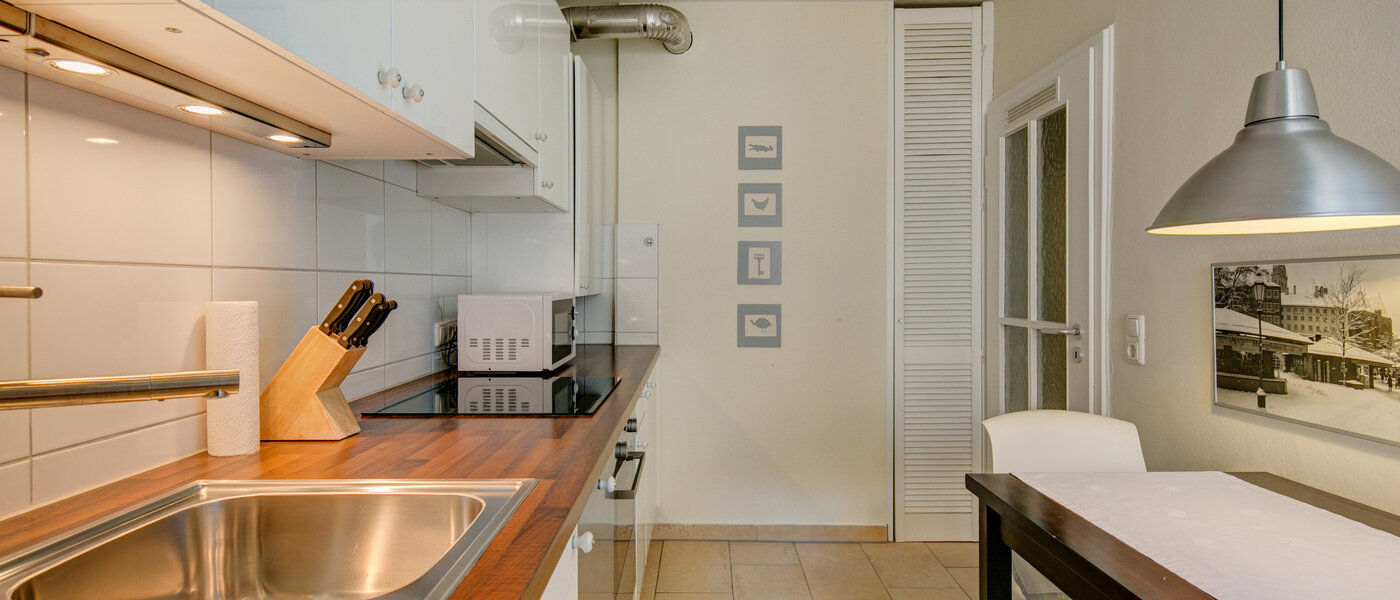 apartment München Isarvorstadt 04 kitchen 5105