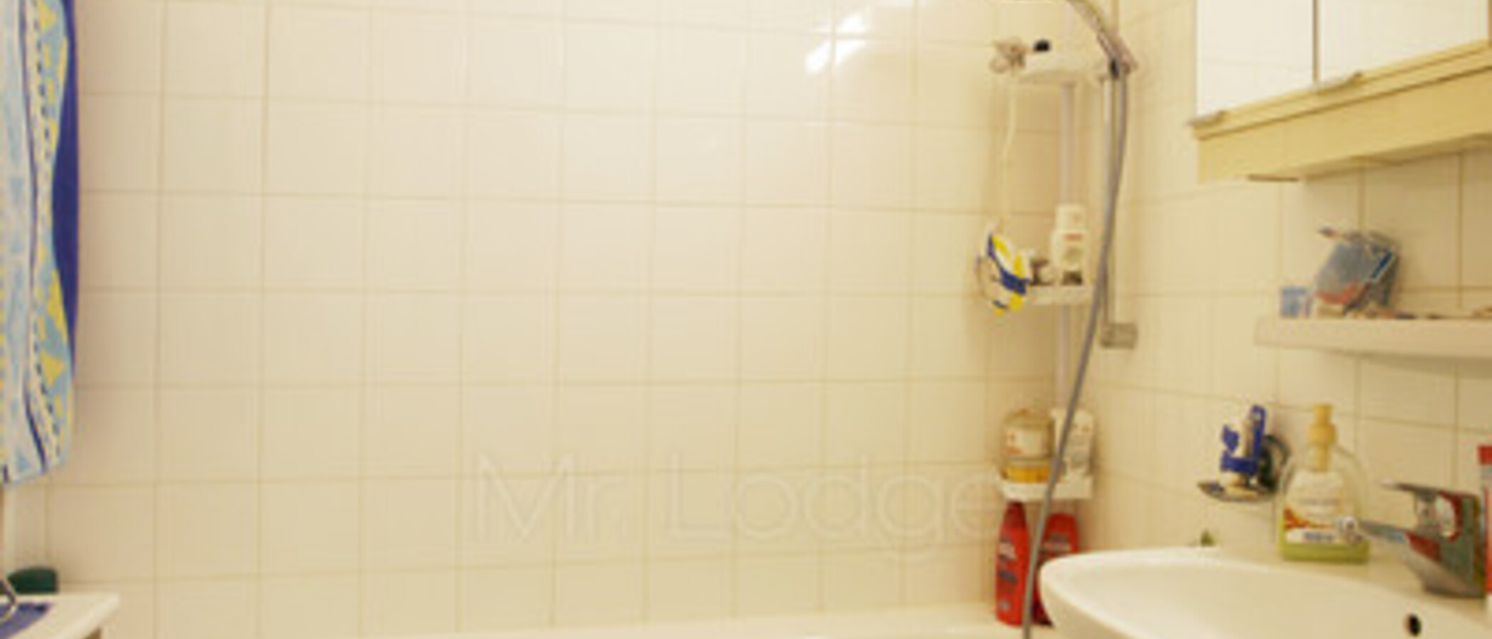 apartment München Schwabing-Georgenschwaige 01 bathroom 5164