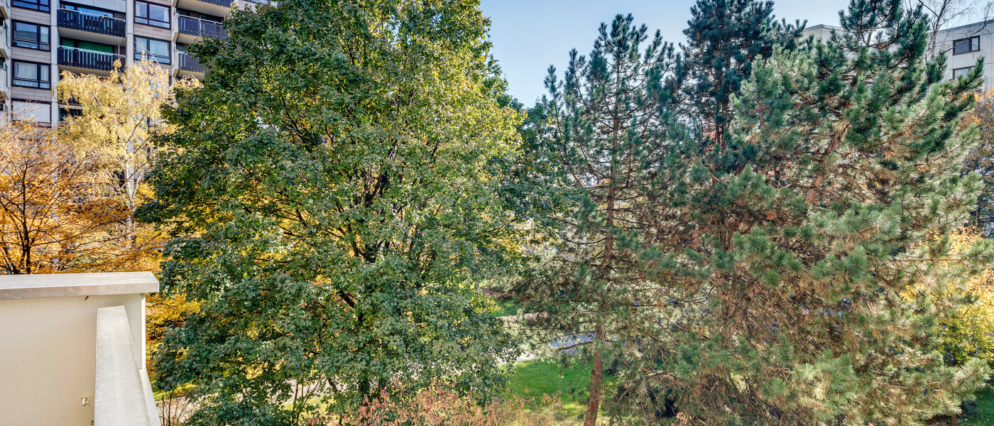 apartment München Haidhausen 02 view 5180