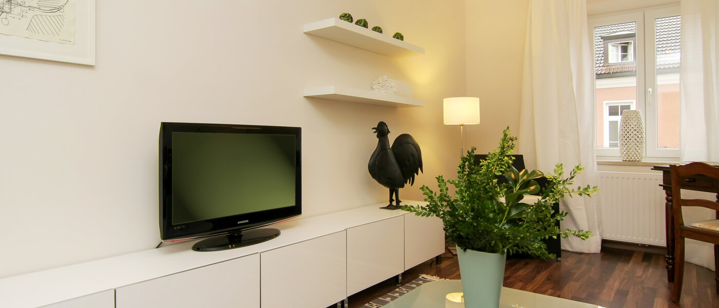 apartment München Isarvorstadt 04 living room 5192