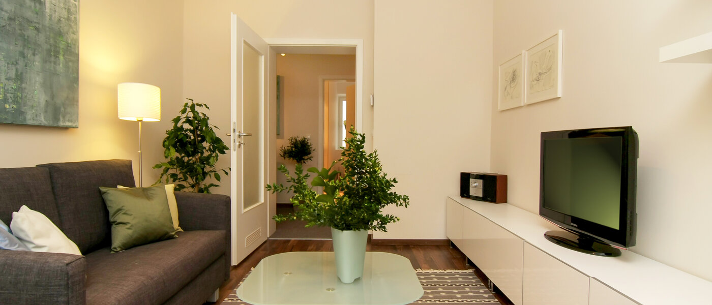 apartment München Isarvorstadt 05 living room 5192