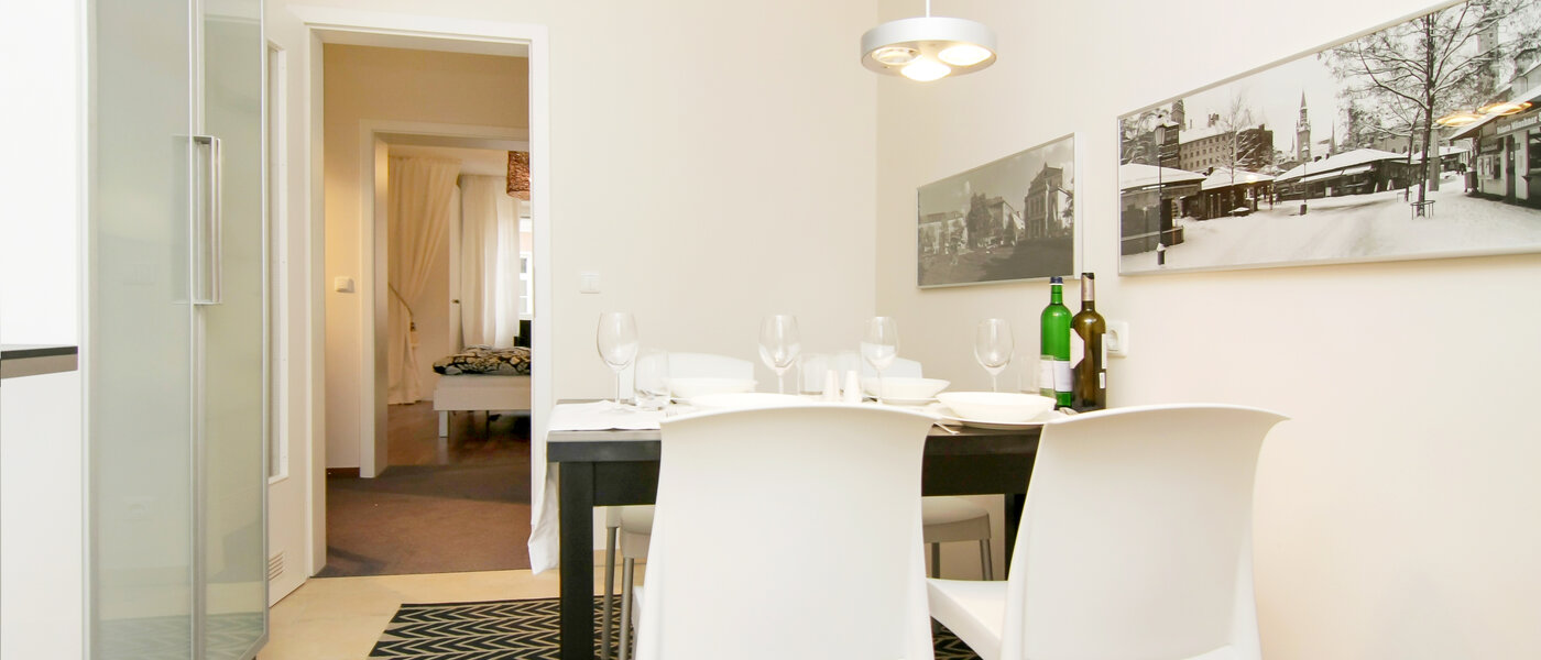 apartment München Isarvorstadt 04 kitchen 5192