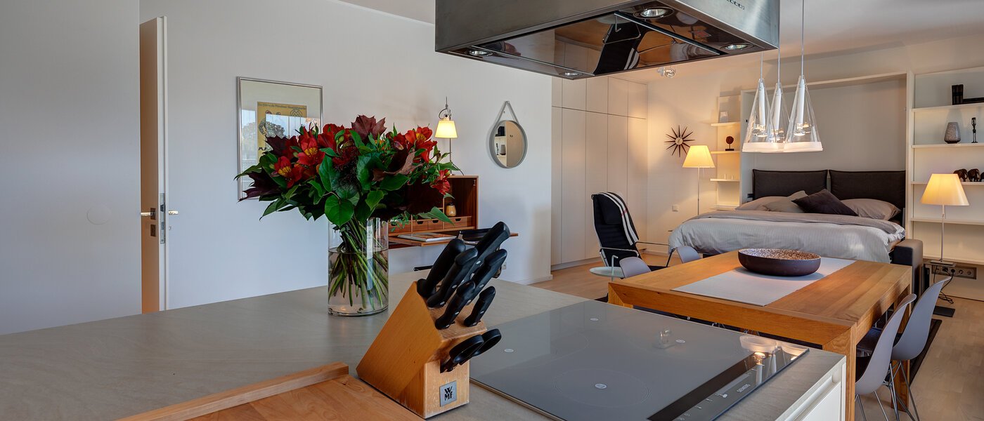 apartment München Schwabing (links der Leopoldstraße) 03 kitchen 5263