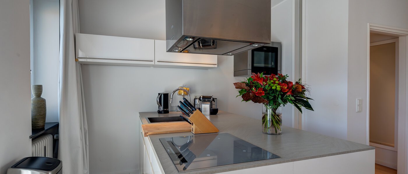 apartment München Schwabing (links der Leopoldstraße) 04 kitchen 5263