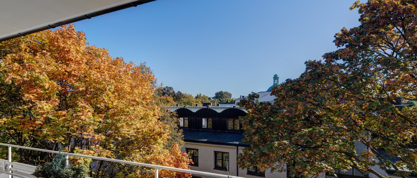 apartment München Schwabing (links der Leopoldstraße) 01 view 5263