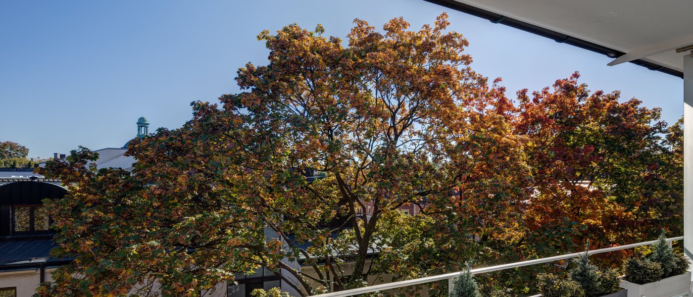 apartment München Schwabing (links der Leopoldstraße) 02 view 5263