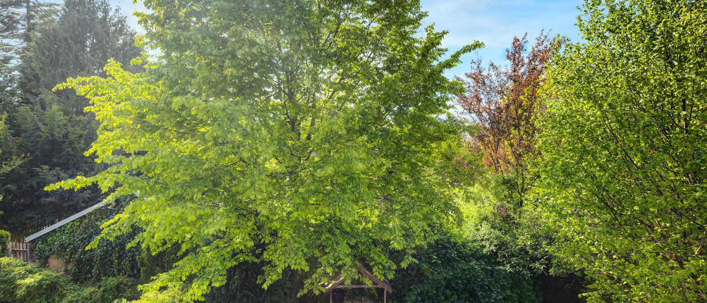 townhouse München Westpark 02 view 5296