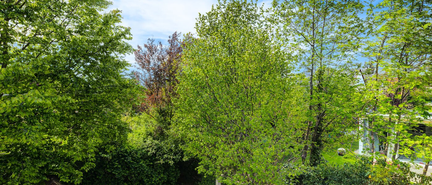 townhouse München Westpark 03 view 5296