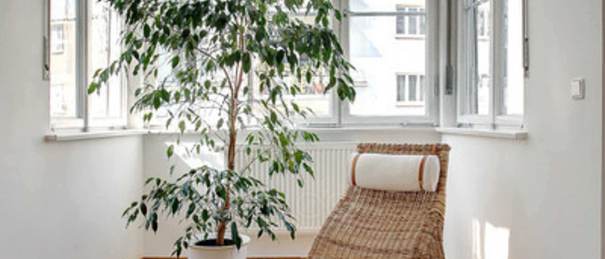 apartment München Altbogenhausen 09 living room 5506