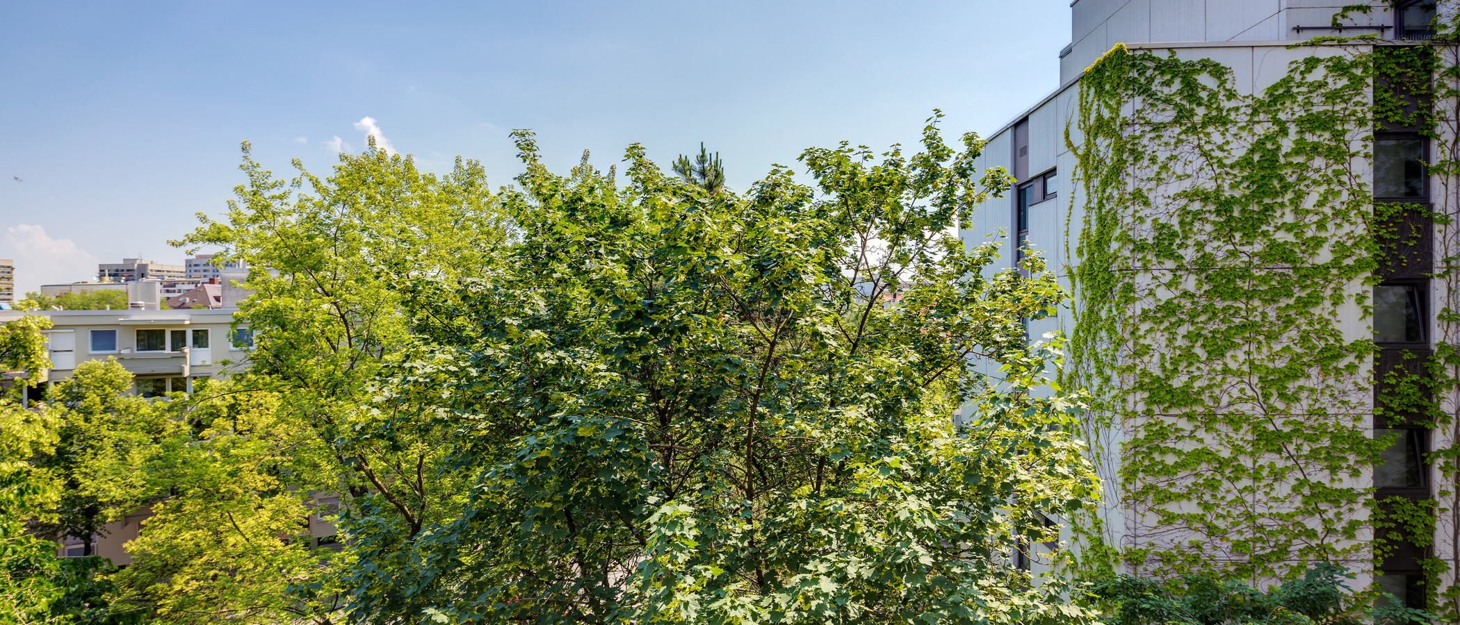 apartment München Schwabing-Georgenschwaige 01 view 5522