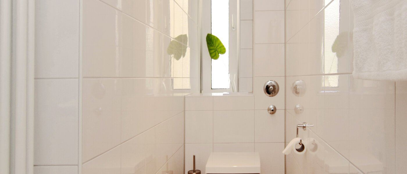 apartment München Isarvorstadt 03 bathroom 5542