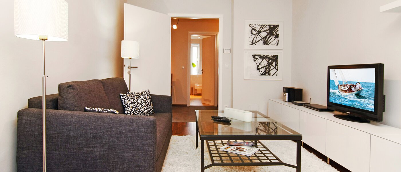 apartment München Isarvorstadt 03 living room 5542