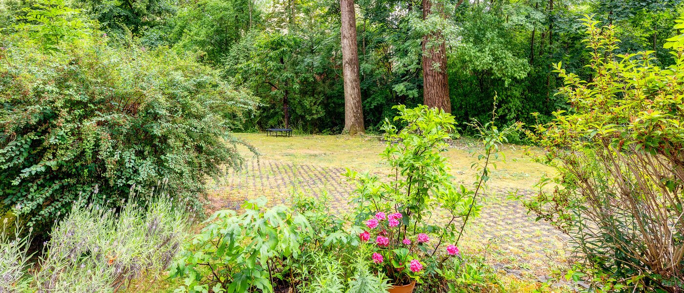 apartment München Schwabing-Nord (zw. Belgrad- & Leopoldstraße) 01 view 565