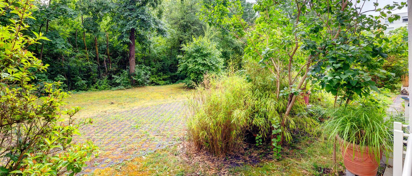 apartment München Schwabing-Nord (zw. Belgrad- & Leopoldstraße) 02 view 565