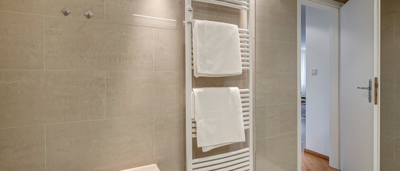 apartment München Haidhausen 03 bathroom 5711