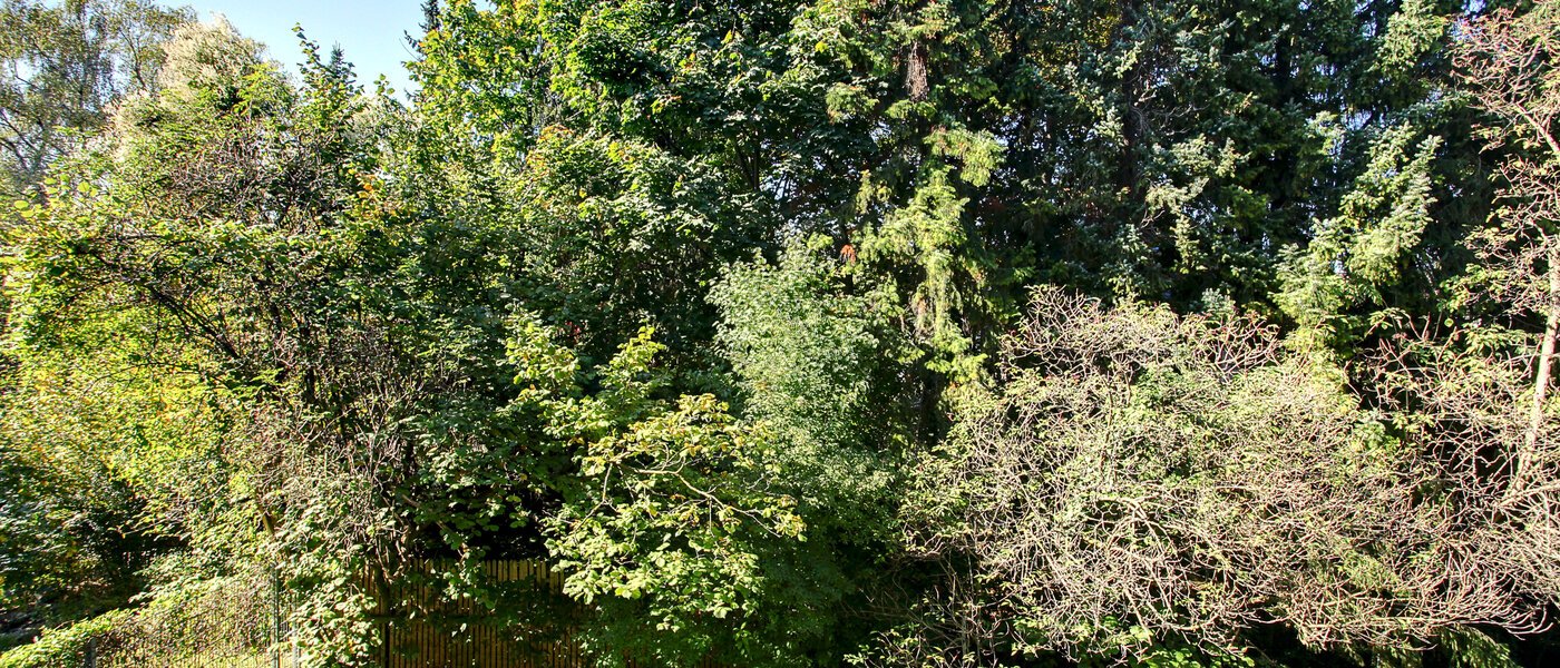 apartment München Schwabing 01 view 5794