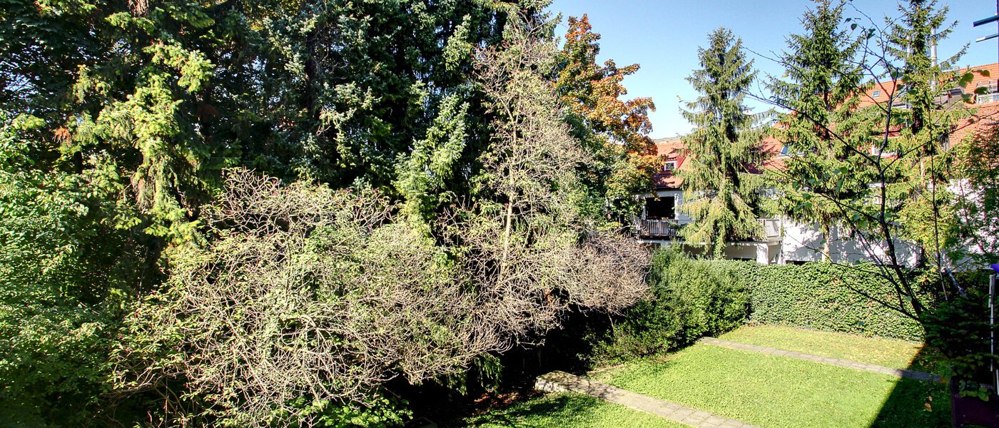 apartment München Schwabing 02 view 5794