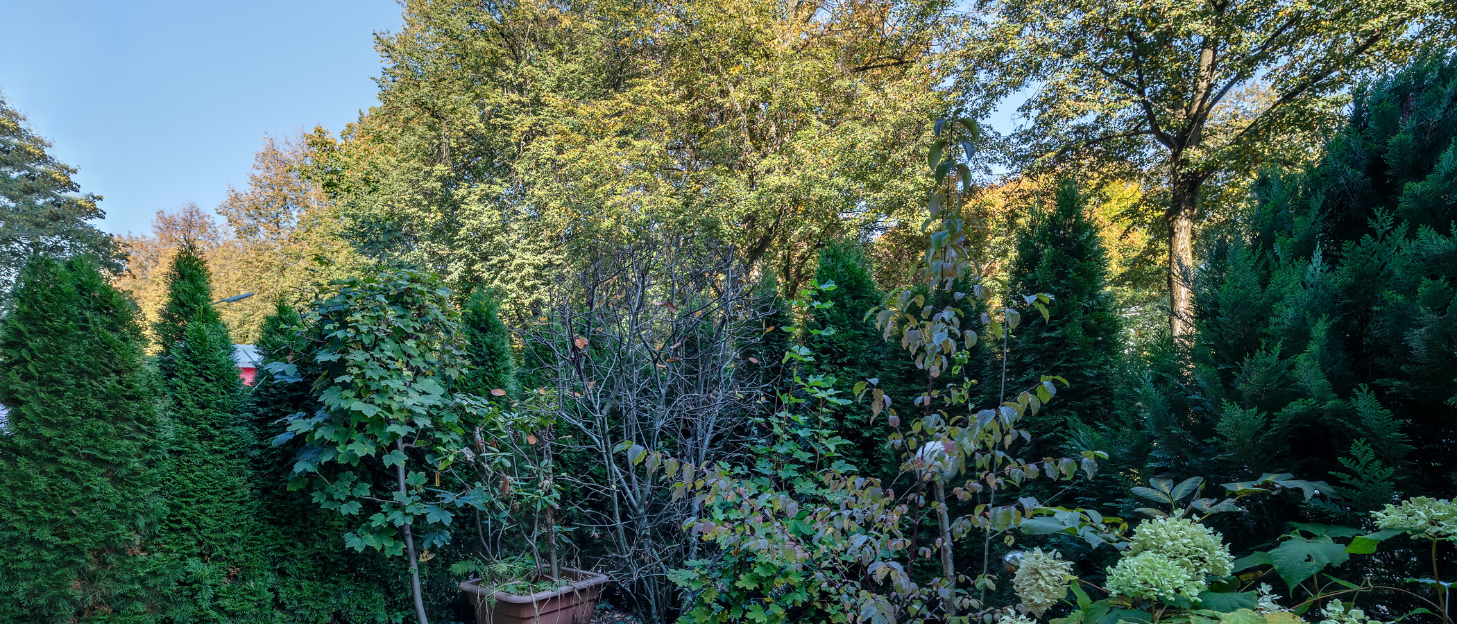 studio München Milbertshofen 02 garden 5833