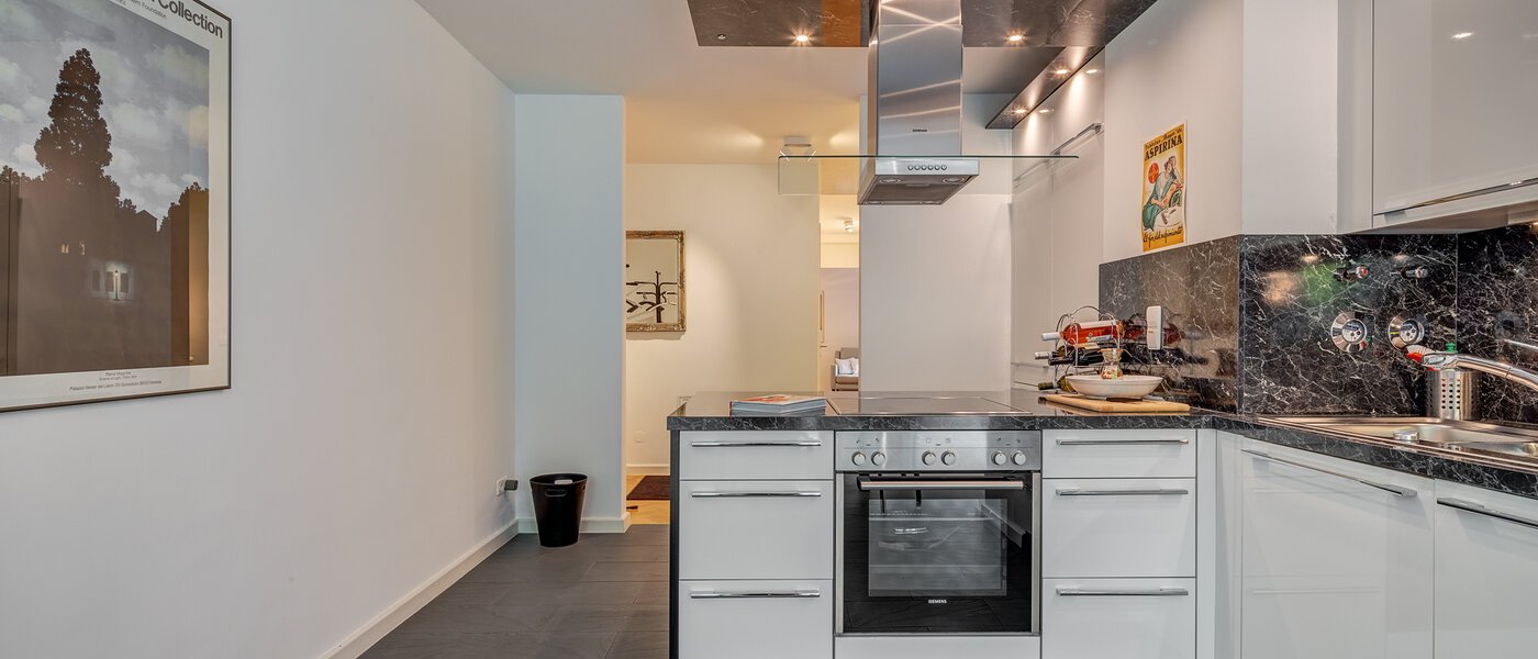 apartment München Bogenhausen 06 kitchen 5866