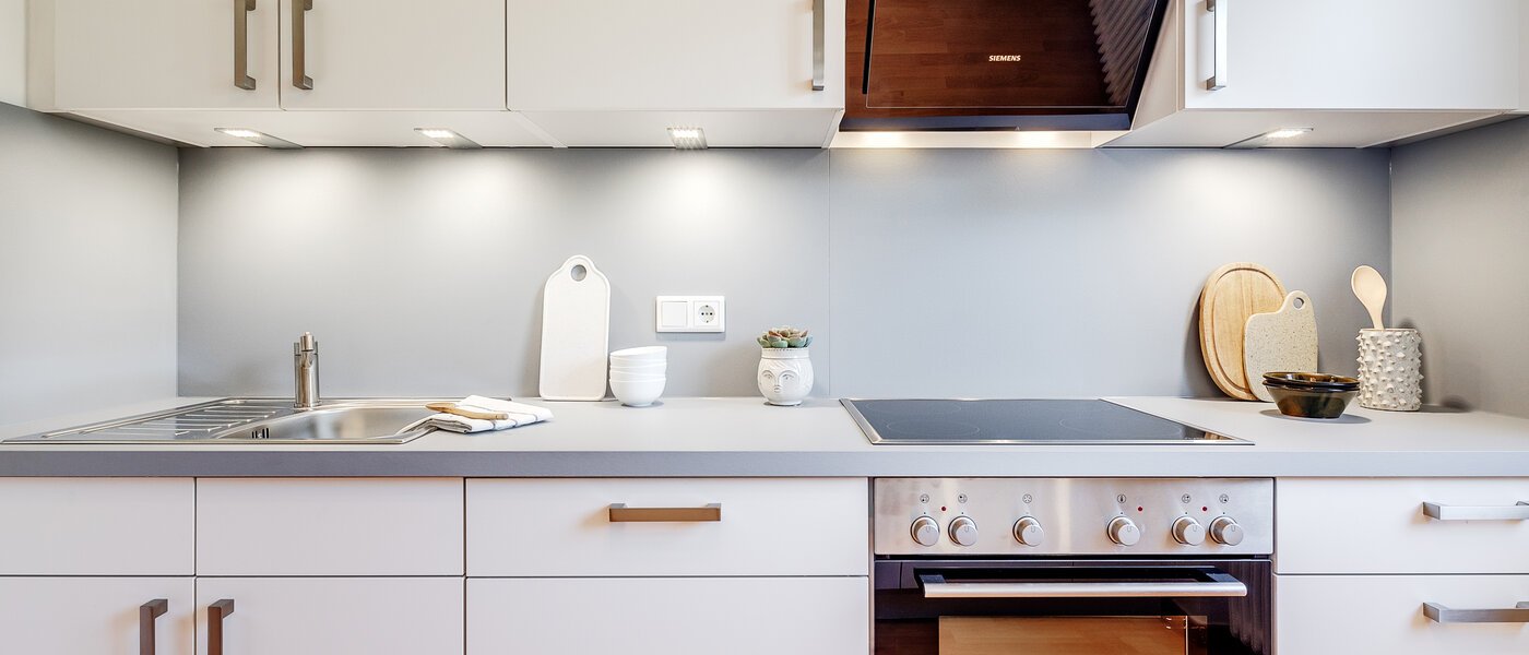 apartment Grünwald 03 kitchen 5901