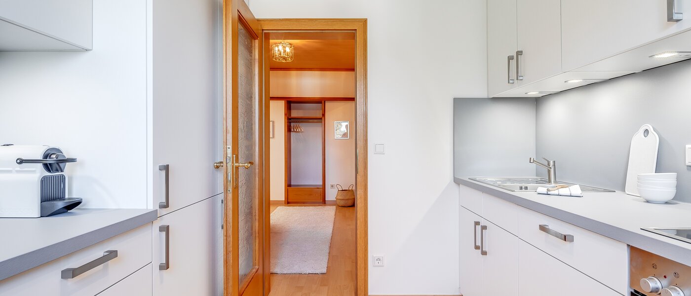 apartment Grünwald 04 kitchen 5901