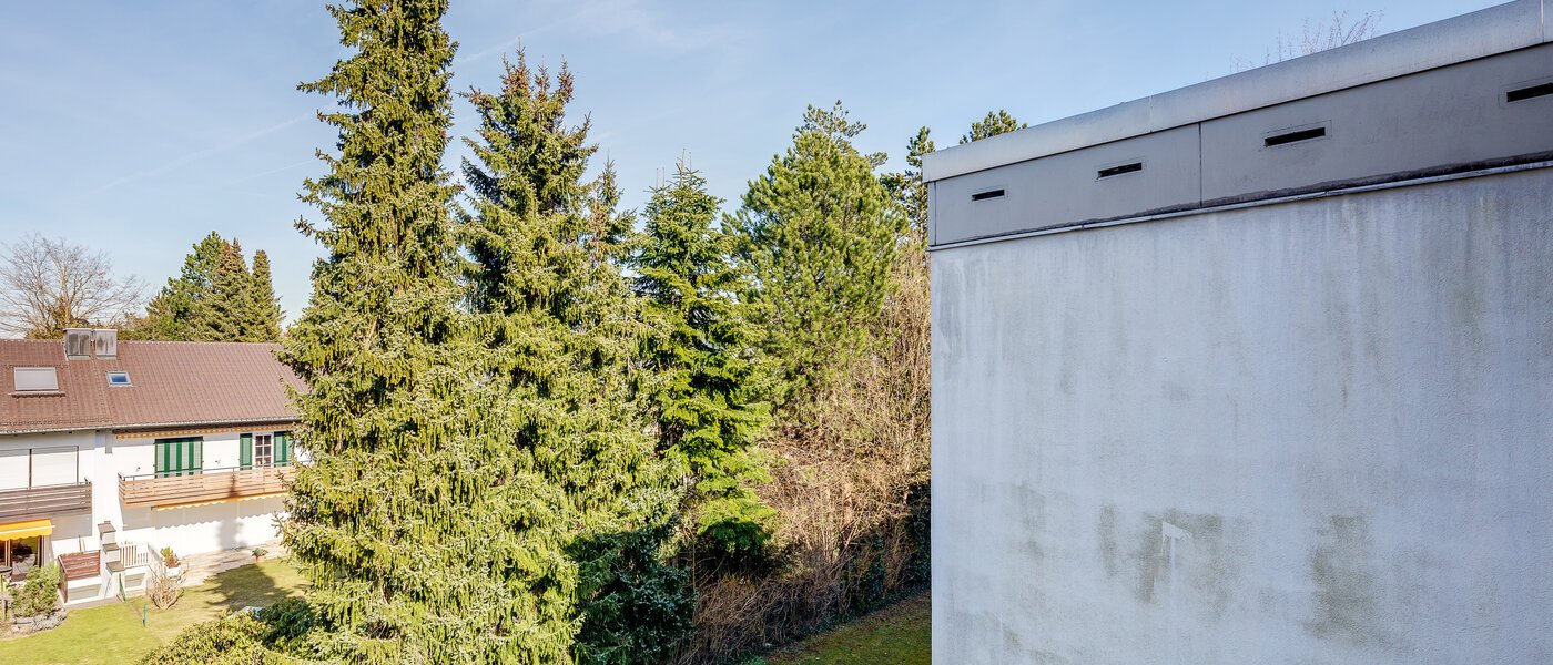 apartment Grünwald 03 view 5901