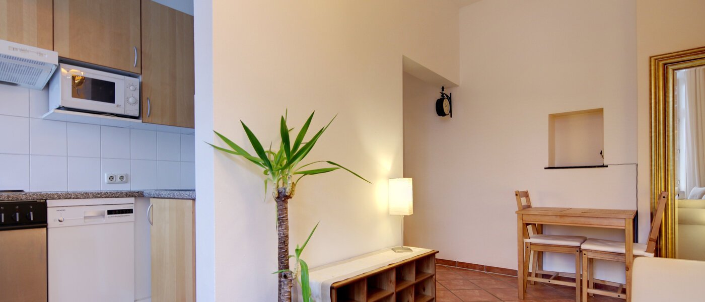 apartment München Isarvorstadt 03 living room 5906