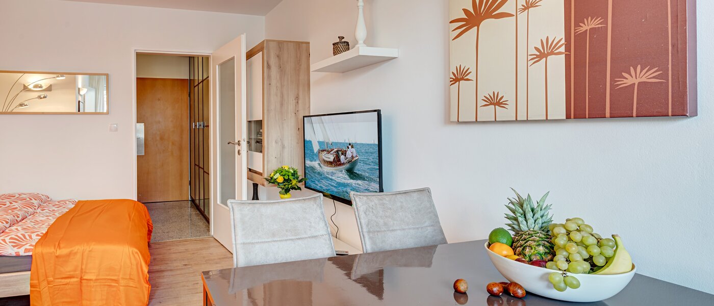 apartment München Milbertshofen 04 living area 5917