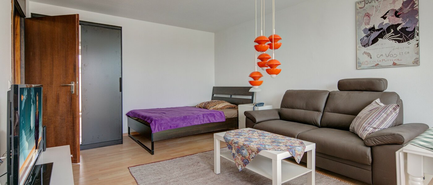 apartment München Sendling-Westpark 04 living room 5931