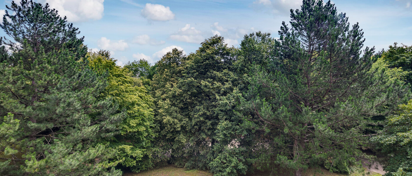 apartment München Moosach 01 view 5951