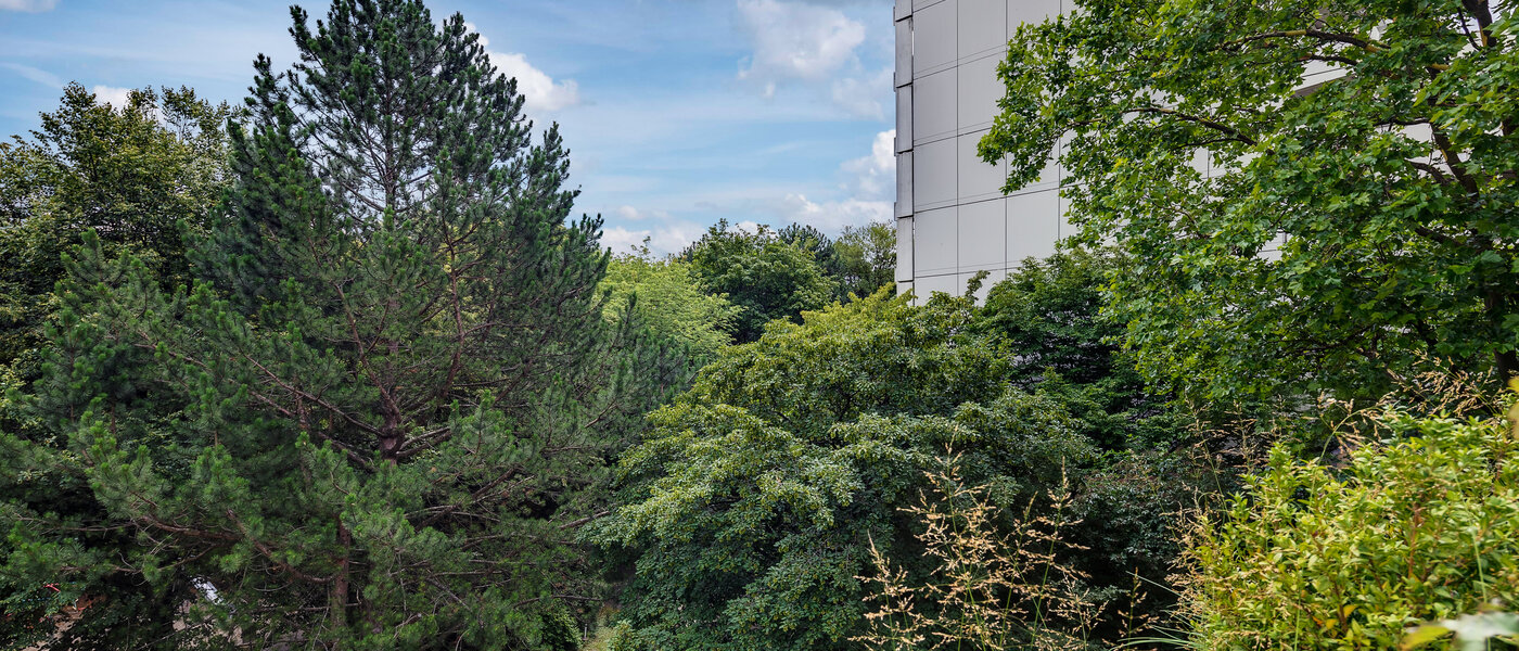 apartment München Moosach 03 view 5951