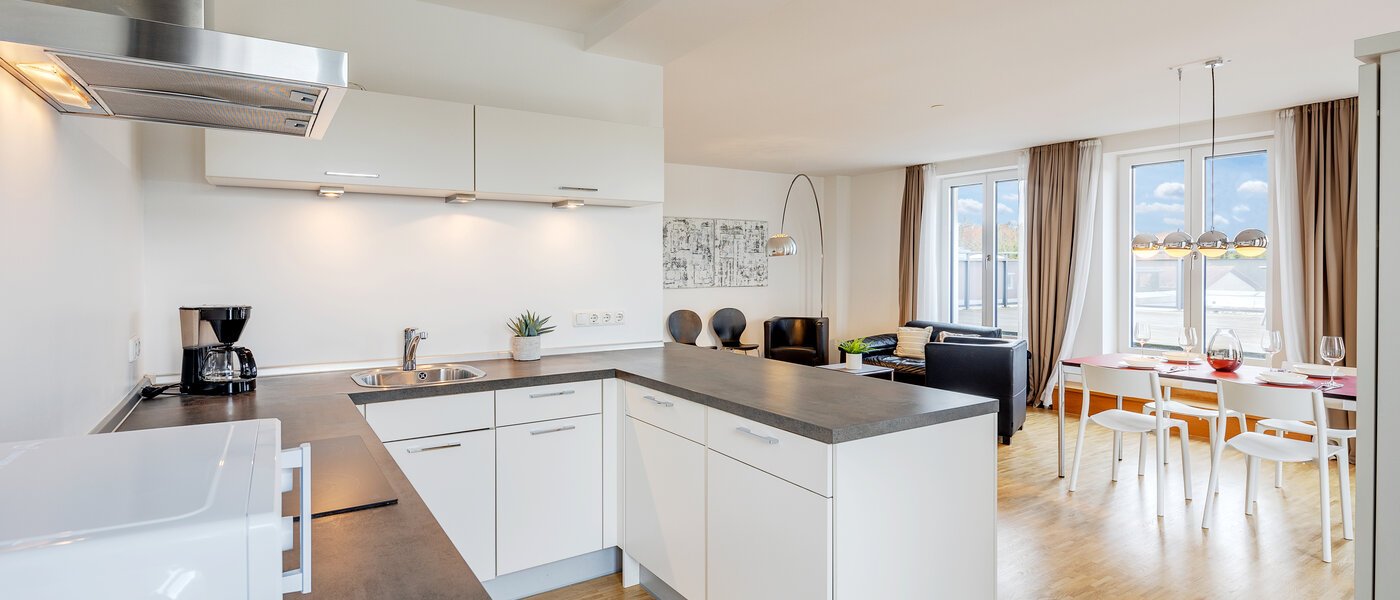 apartment München Großhadern 03 kitchen 6011