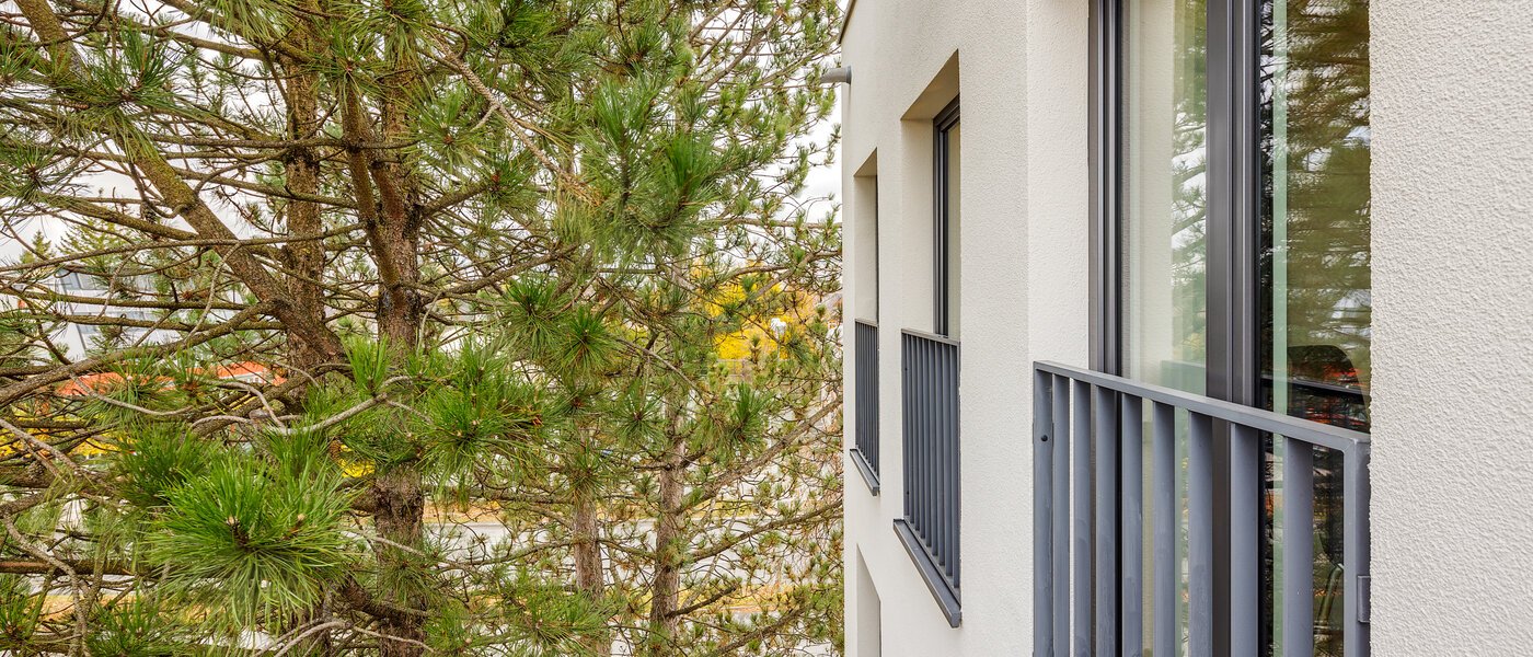 apartment München Großhadern 02 view 6011