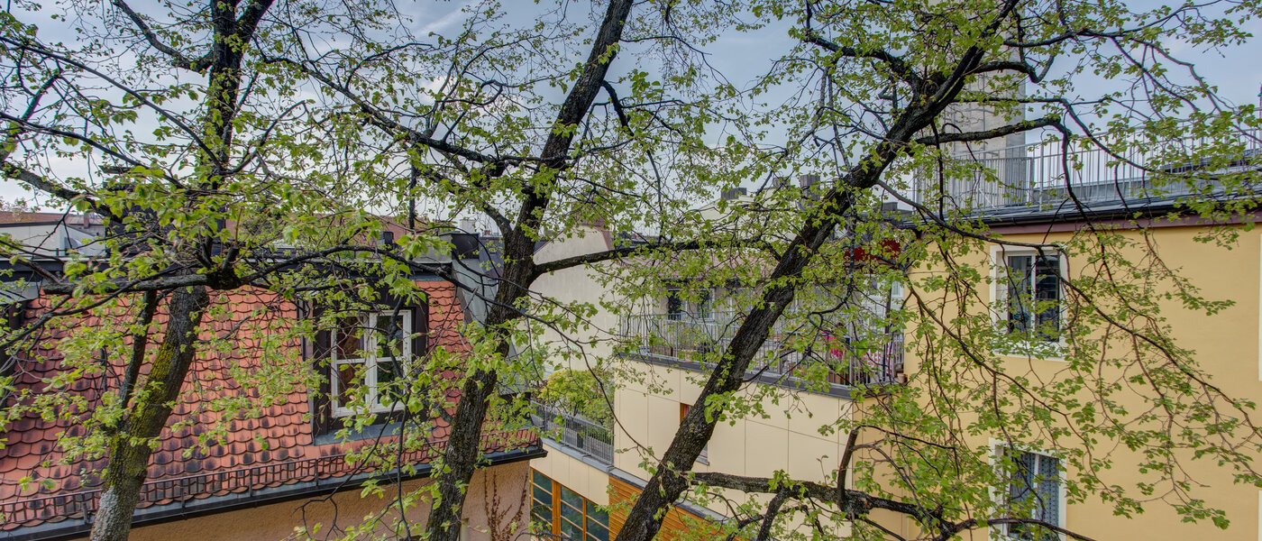 apartment München Maxvorstadt - Universitätsviertel 02 view 6047