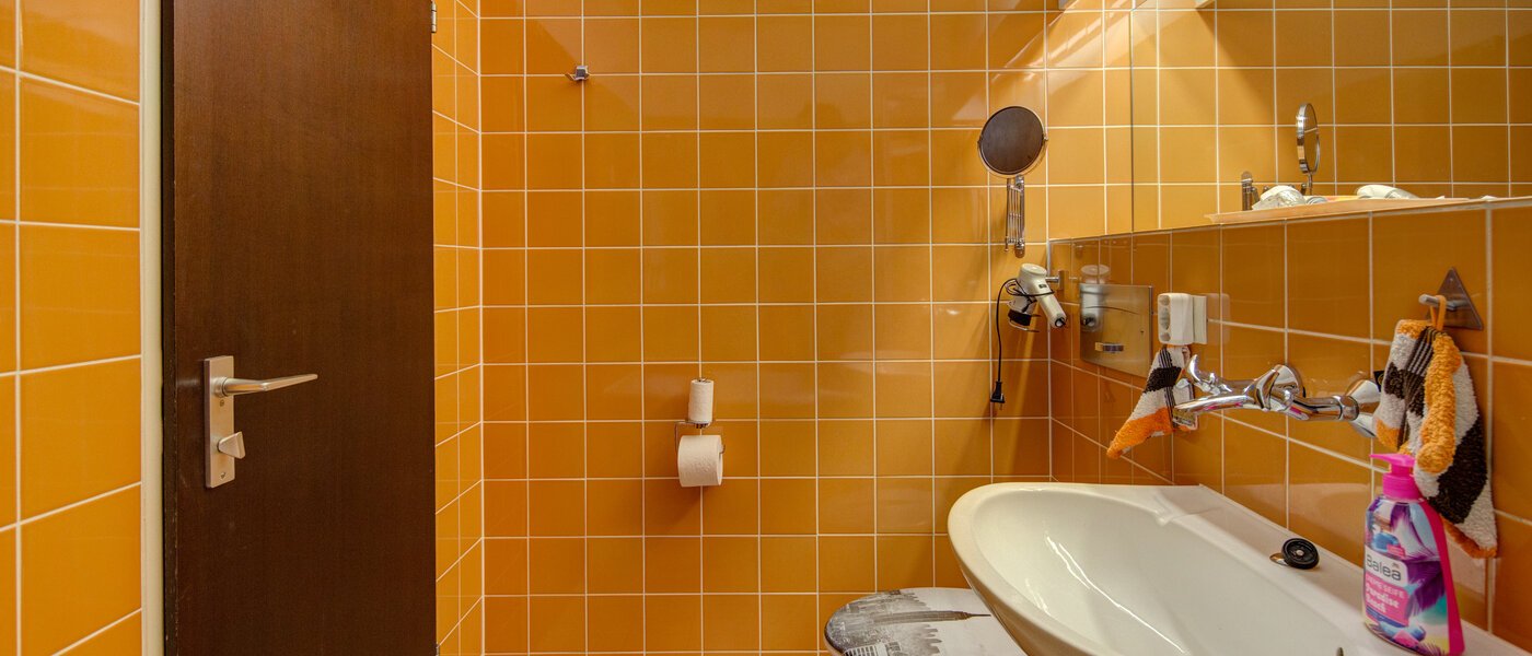 apartment München Haidhausen 04 bathroom 6056