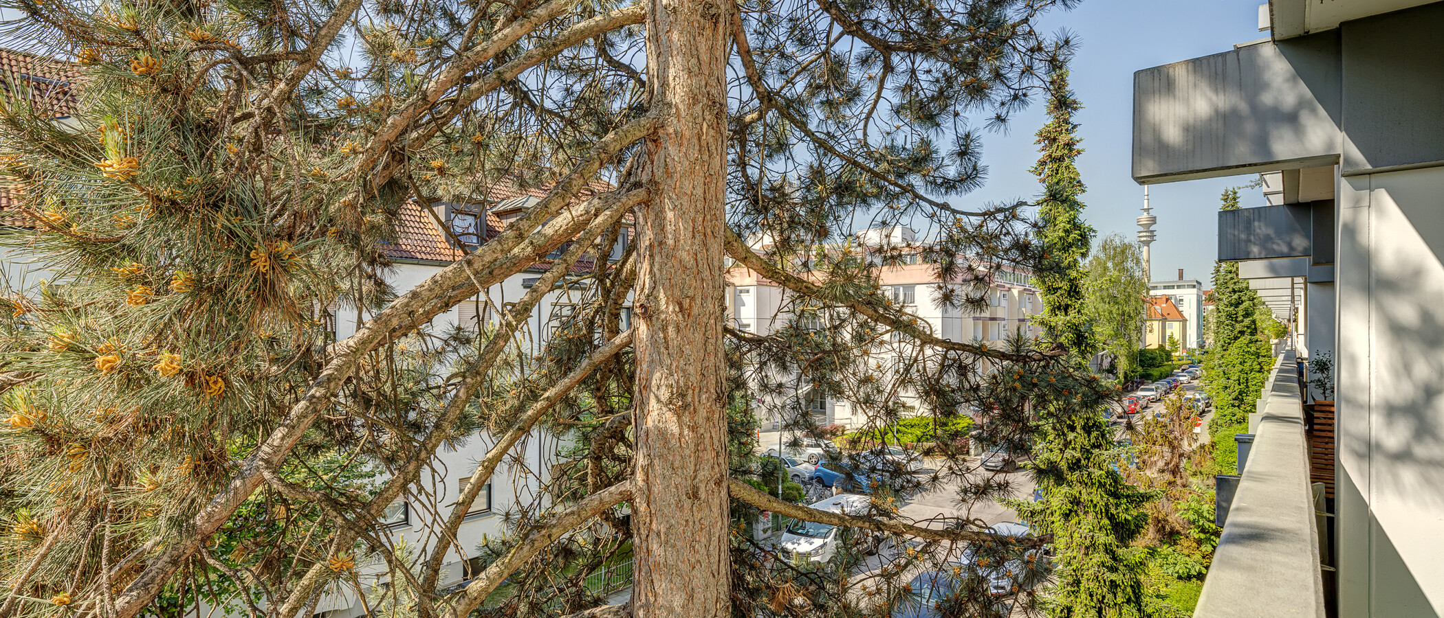 apartment München Milbertshofen 02 view 6061