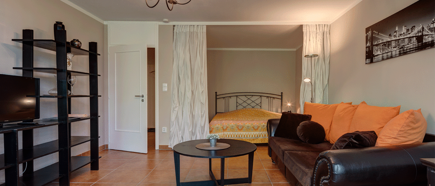 apartment München Haidhausen 03 living area 6140