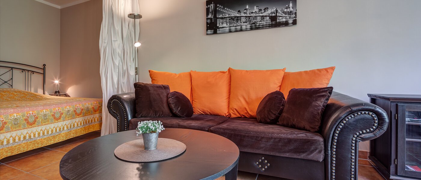 apartment München Haidhausen 04 living area 6140