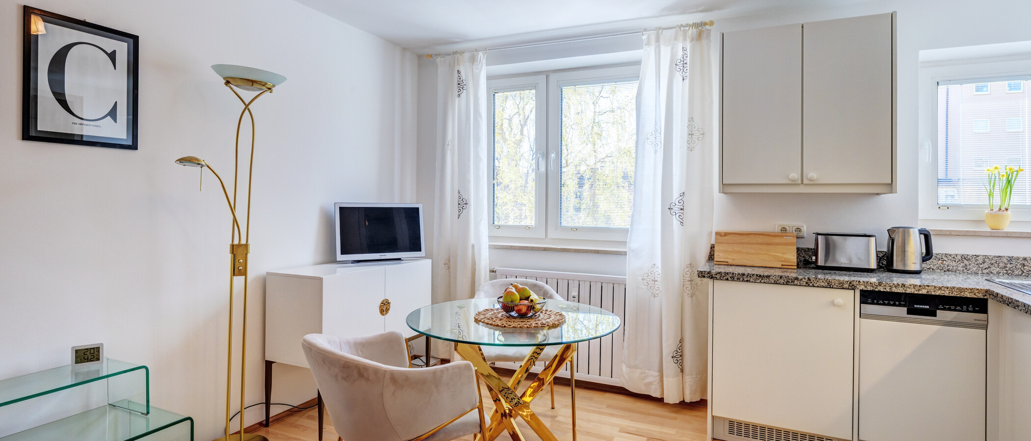 apartment München Bogenhausen 04 living area 6213