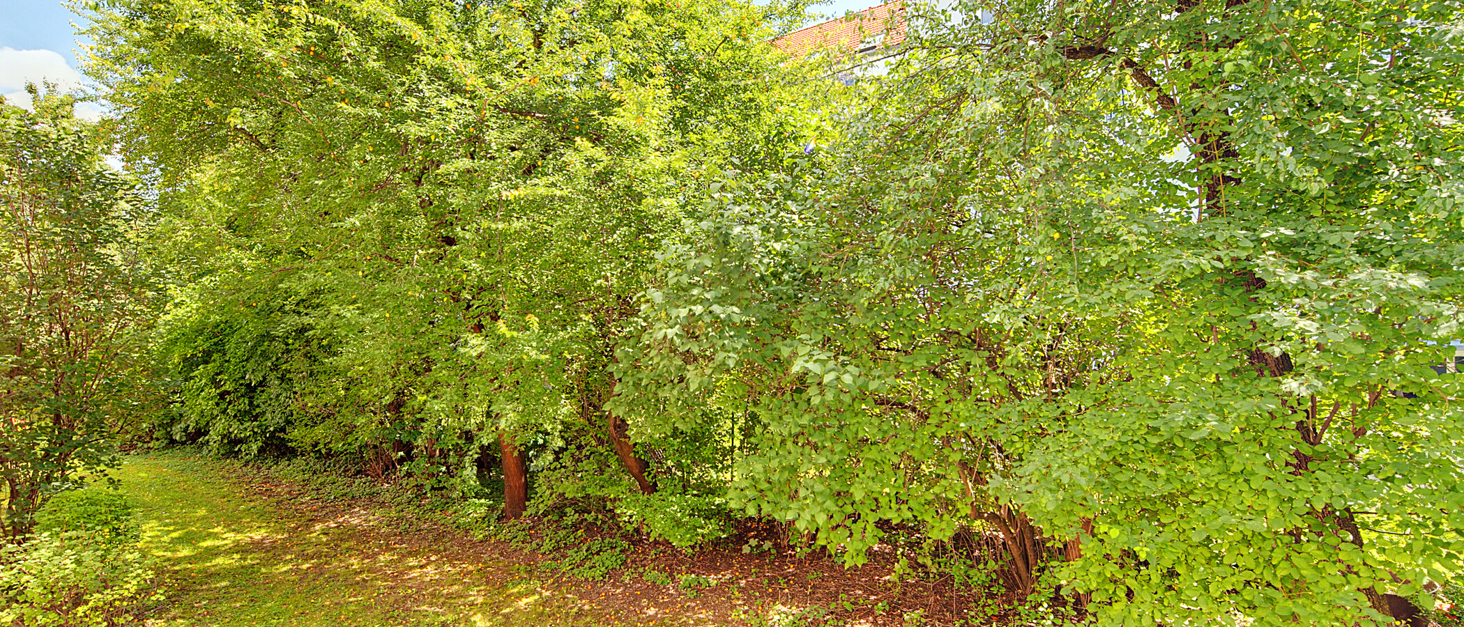 apartment München Schwabing - Alte Heide 01 view 6261