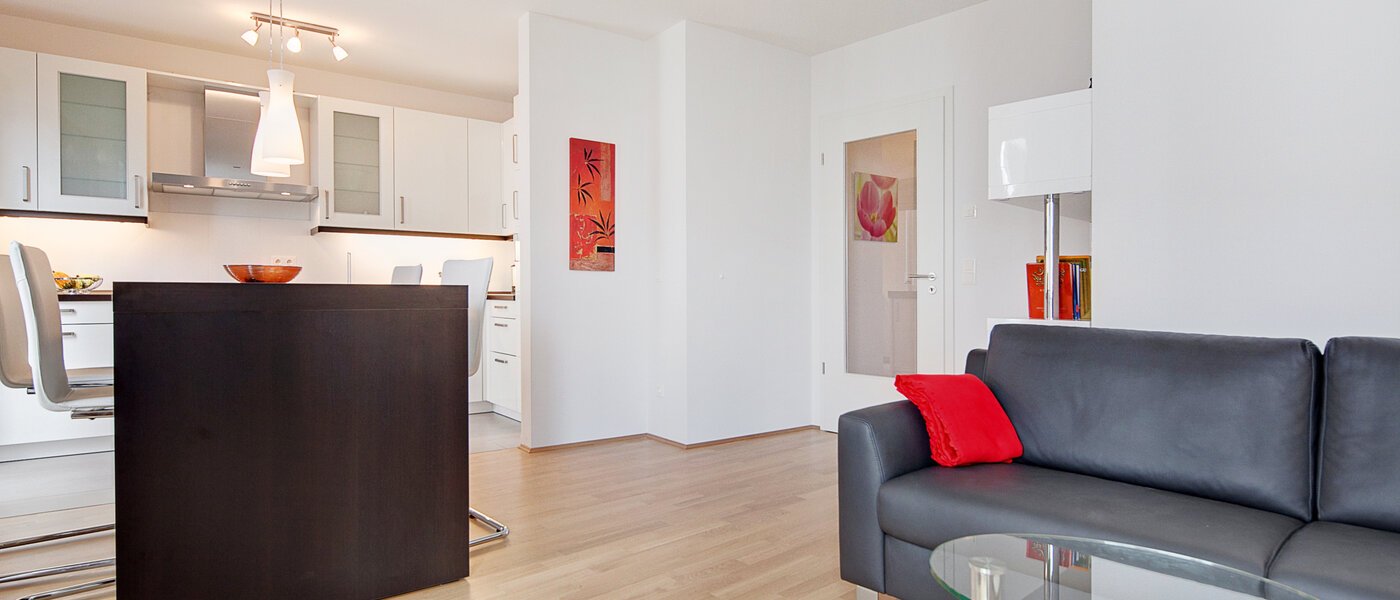 apartment München Schwabing-Nord (zw. Belgrad- & Leopoldstraße) 06 living room 6335