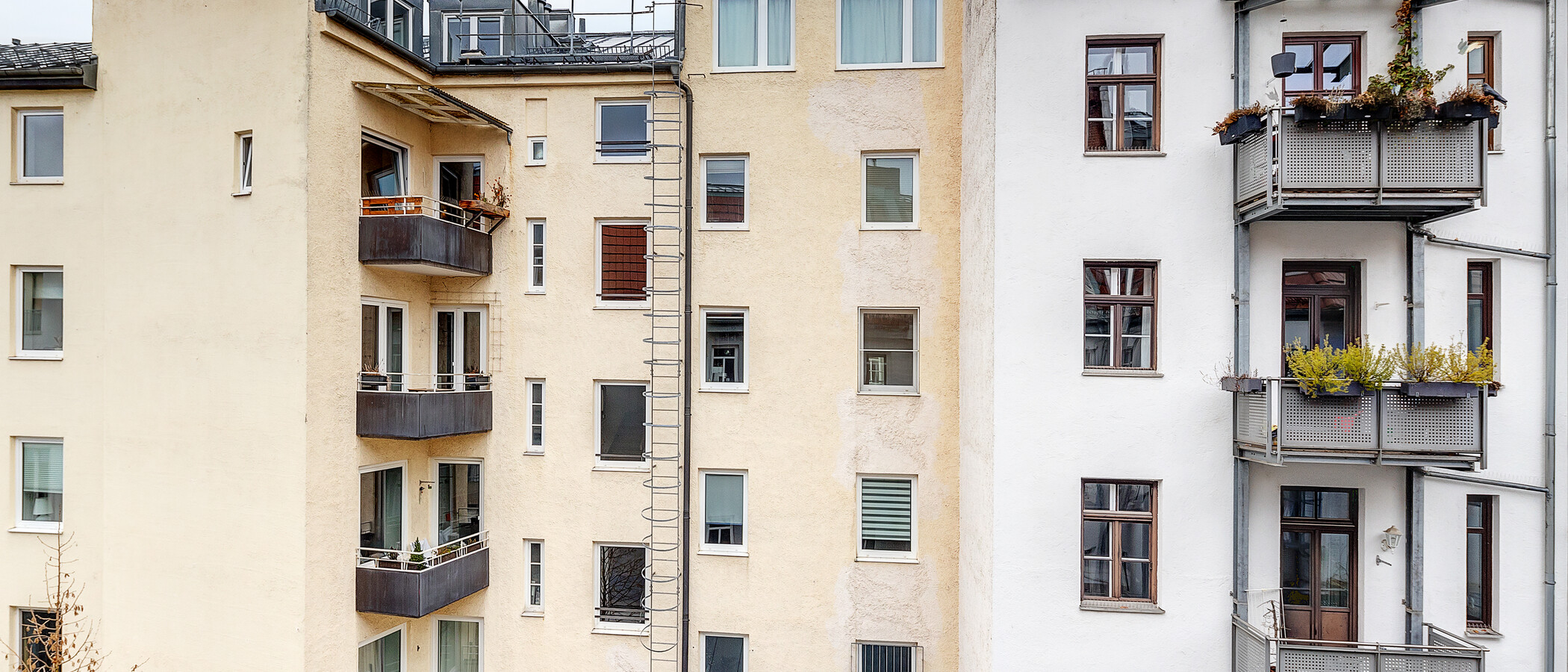 apartment München Glockenbachviertel 01 view 6366