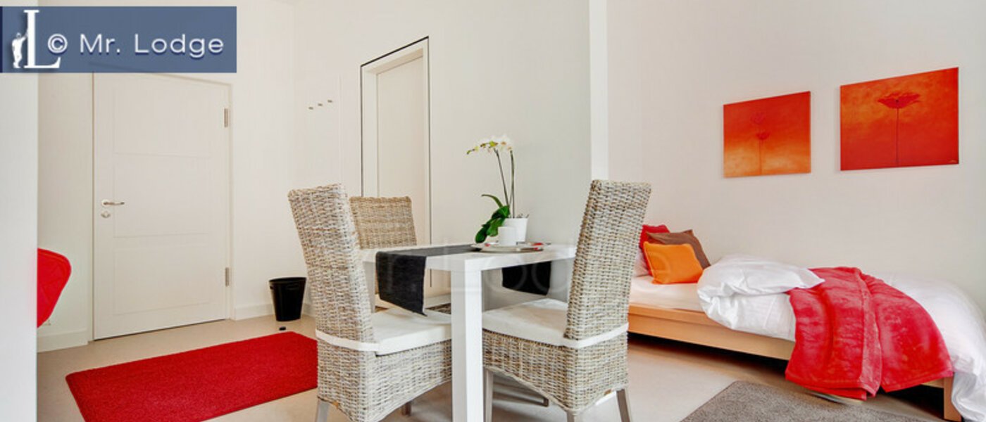 apartment München Lehel 04 living room 6432