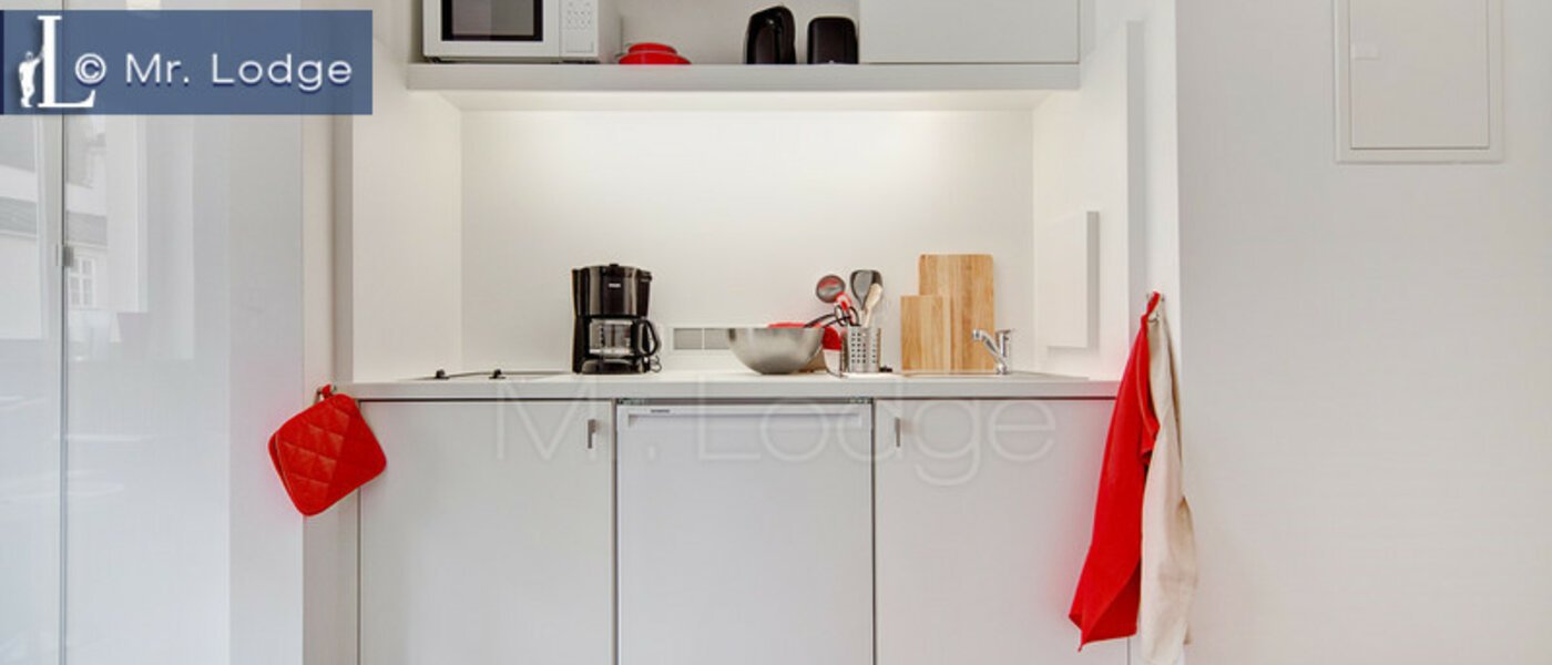 apartment München Lehel 01 kitchen 6432