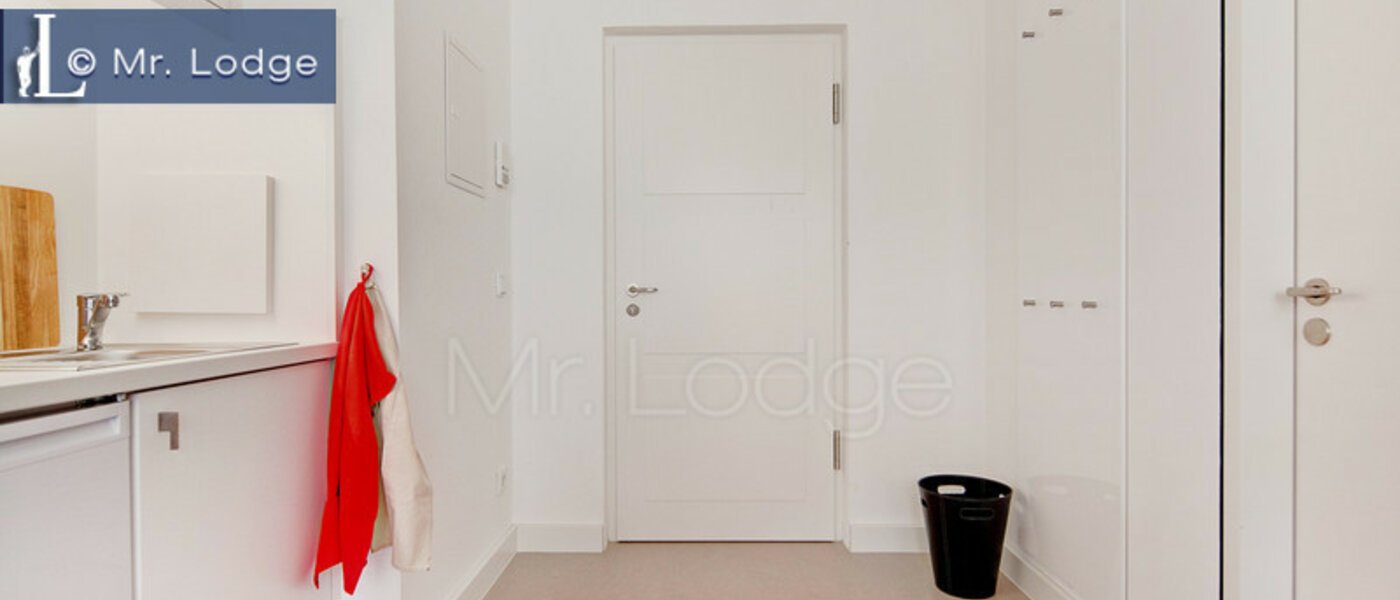 apartment München Lehel 01 hall 6432