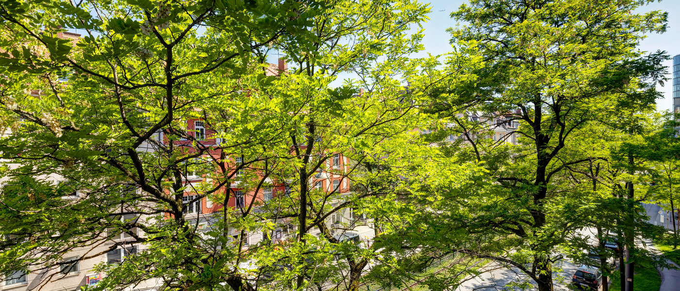 apartment München Neuhausen 01 view 6444